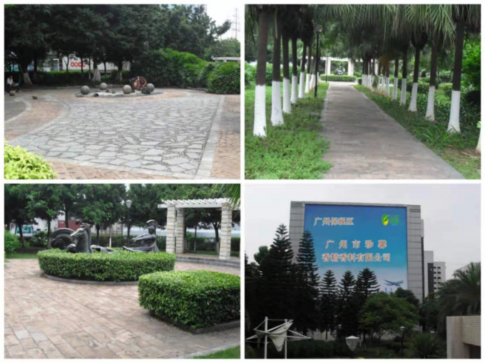 マッチャ アイスクリームの味 マッチャ アイスクリームの味 10