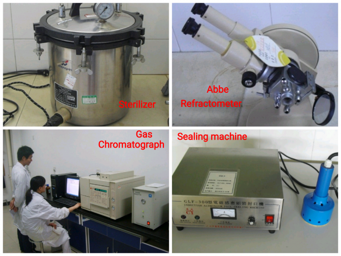 マッチャ アイスクリームの味 マッチャ アイスクリームの味 12
