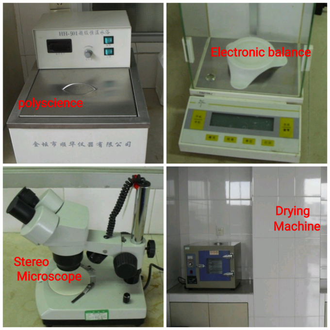 マッチャ アイスクリームの味 マッチャ アイスクリームの味 13
